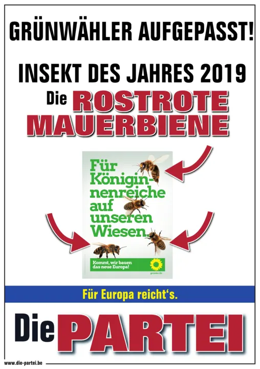 Plakat: „Grünwähler aufgepasst! Insekt des Jahres 2019: die rostrote Mauerbiene“